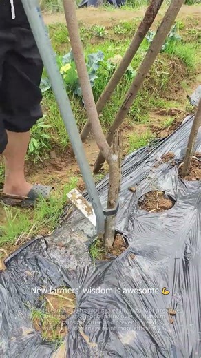 Labor-Saving Planting Tool ✨ #rurallife #diytools
