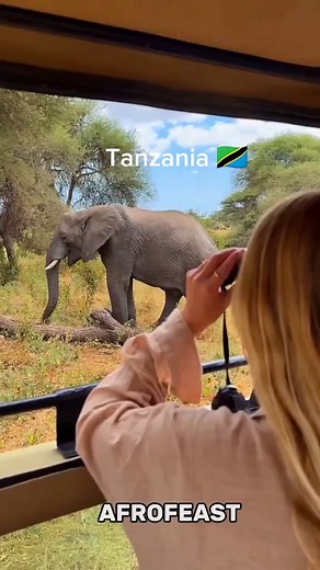 Tanzania Safari 2026: Serengeti, Ngorongoro & Big Five
