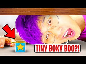 CRAZIEST PROJECT PLAYTIME LEAKS & SECRETS! LEAKED SECRET ENDING REVEALED