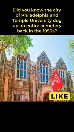 13K views · 120 reactions | Monument Cemetery was dug up and moved, and the headstones were just dumped in the Delaware River. #philadelphia #cemetery #templeuniversity #monumentcemetery #cemetery #delawareriver | The Real Brandolorian | Facebook