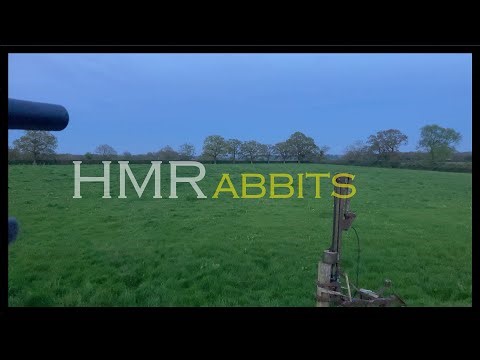 .17 HMR ON RABBITS