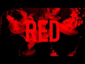 CODE RED SNAPBACK CAP by CAYLER & SONS