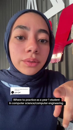 Replying to @nadamaboelrish edabit,codewars,W3schools,geeks for greeks,leetcode.#fyp #computerscience #programming #techtok