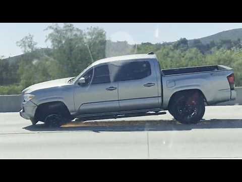 GTA 6 Preview? 🐊 The Very Best Florida Fails!