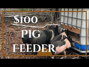 Building A 1500 Pound Hog Feeder For $100!