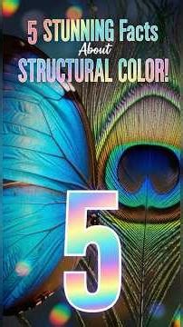 5 Stunning Facts About Structural Color! 🦋🌈 (Color Without Pigment!)