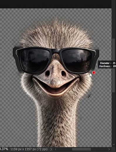 Best way to Refine Hairs in adobe photoshop. #photoshop