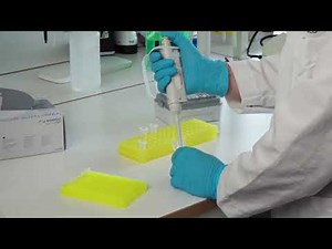 Episode 12 - "Pipetting the Samples for PCR 2"