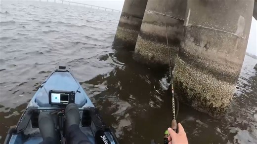 8.9K views · 425 reactions | SECRET Sheepshead Bait Catches GIANT FISH! | Southern Salt Fishing | Facebook