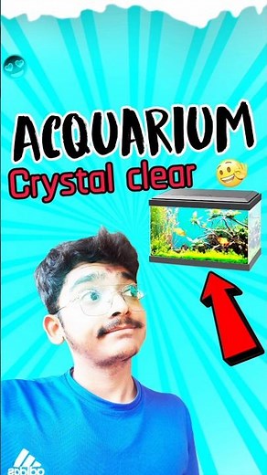 💢VOJ DAY〽️46 “3 Secret Tips for Crystal Clear Aquarium 🐠 | Easy Fish Tank Cleaning Hacks”