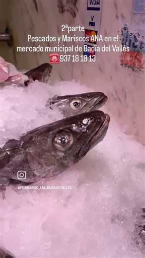 Pescados y Mariscos ANA en el mercado municipal de Badía del Vallés ☎️ 937 18 18 13 paradas86,87,22