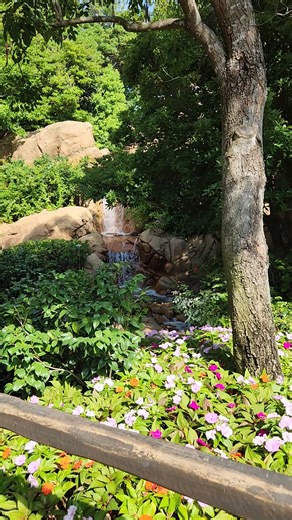 13K views · 195 reactions | Rapunzel Tower & Waterfall at the Magic Kingdom 年 #tangled #rapunzel #magickingdom | Chip and Company | Facebook