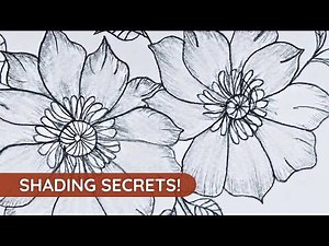 Magnolia Botanical Drawing: Mastering Petal Textures & Vines