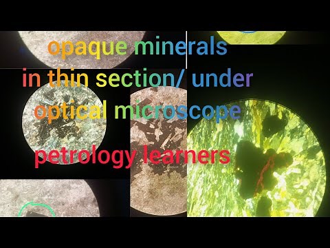 Opaque minerals in thin section |under optical microscope