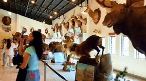 49K views · 807 reactions | AISAT | BS Tourism Management Basic Hotel...