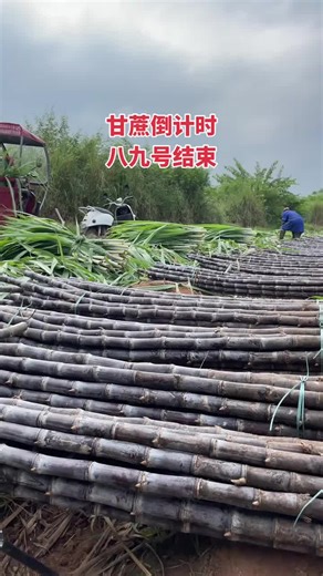 Creative TikTok Team Projects