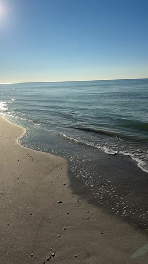 Sanibel Shells on Reels