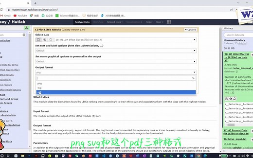 如何进行LEfSe分析？