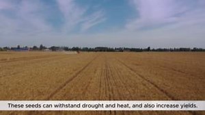 9.2K views · 258 reactions | For decades, the United States has supported Pakistan’s farmers — and next week, we're launching a new Climate Smart Agriculture project! This 5-year investment will equip farmers with climate-resilient seeds, conservation practices, and eco-friendly pest management to help communities adapt to a changing climate. Discover how the U.S. is partnering with Pakistani farmers in the video below! | U.S. Embassy Pakistan | Facebook