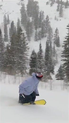 The Mountain Report Powder Mountain #embracewinter #skiing #Utahskiing