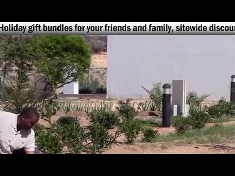 Orgone Energy For the Holidays