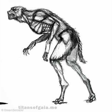 A Werewolf sketch demonstration #art #drawing #illustration #digitalart #procreate #werewolf