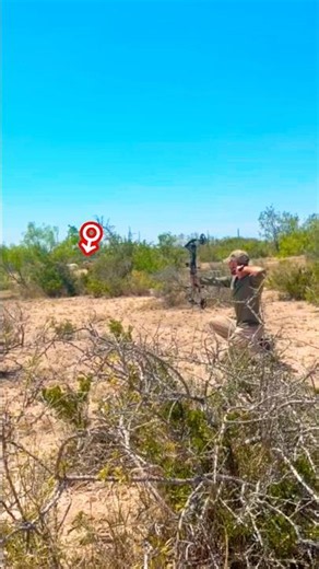 Epic Bow Hunting Adventure | Perfect Arrow Shot on a Wild Ram #bowhunting #bowhuntordie #animals #