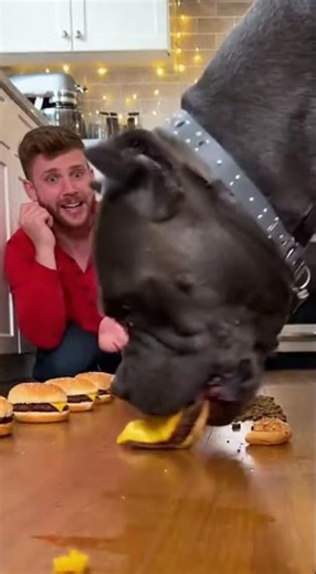 I Lost to My Dog in an Eating Challenge 😭 #dogvshuman #eatingchallenge #shorts