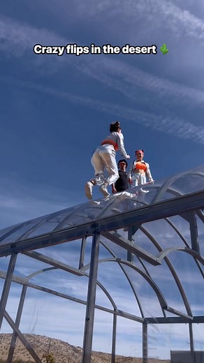 114K views · 1.4K reactions | Just an alien flipping on a crazy trampoline! ⚡️ #trampwall | Amanda Lynn | Facebook