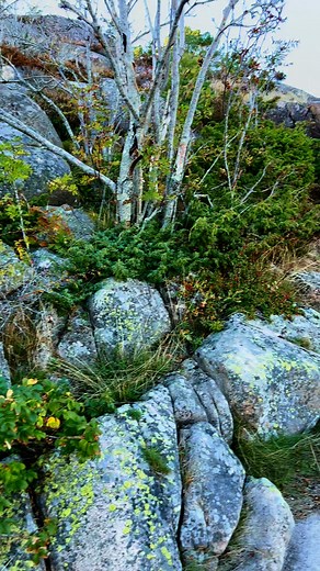 673K views · 6.3K reactions | Model Minh Trí on Reels | Facebook