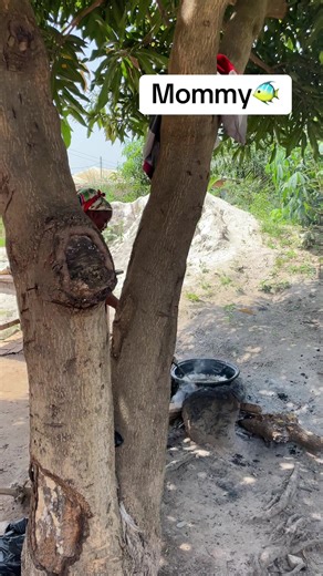 Funny Fish Compilation Moments