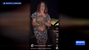 US influencer apologises for snatching baby wombat away from its mother