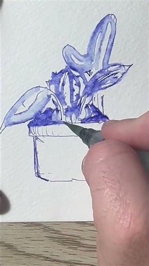Plant #sketch fountain pen ink and water brush