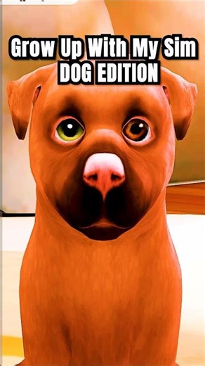 Grow Up with My Sim Pet: Dog Edition🐶| #sims4 #thesims4 #sims #shorts