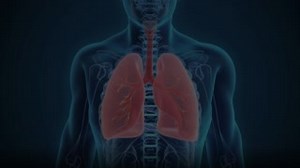 Postoperative pulmonary complications account for substantial morbidity and mortality. Among high-risk patients having major upper-abdominal or noncardiac thoracic surgery, prophylactic penehyclidine inhalation reduced the incidence of these complications. http://ow.ly/QfnV50Jpg7W | Anesthesiology