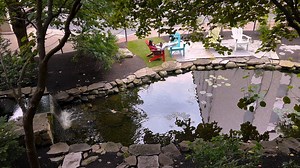 Reflective relaxation. 📍 Koi Pond | Northeastern University