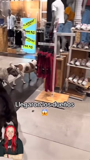 Llego el patrón | Bianca Oss