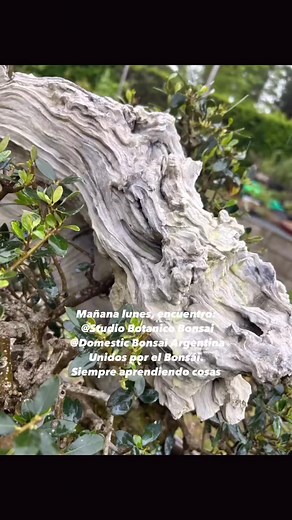 Xec Fernandez on Reels