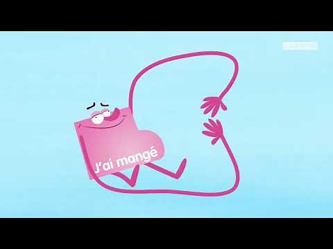 J'identifie le temps, passé, présent, futur - Canopé - EB3