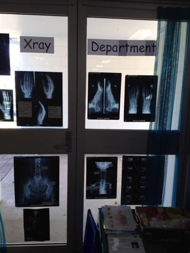 Every scan tells part of a story 🩻…… ….. this page explains the rest #radiography #medicaleducation #healthtok