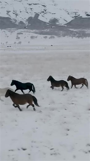 A beautiful relaxing Celtic Music playlist by Tim Janis | Tim Janis