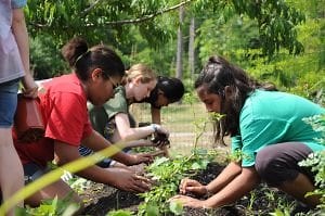 Garden & Greenhouse - UCF Arboretum