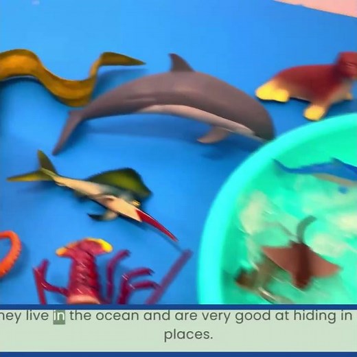 Eel Fun Facts! Its Long Slithery Body! 🐍
