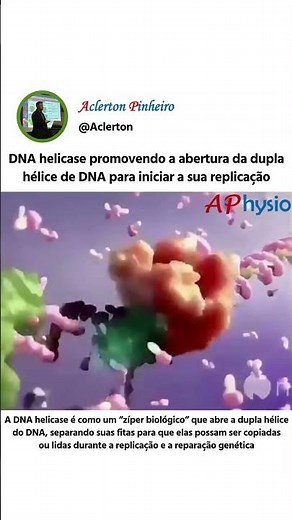 Como o DNA é replicado?!