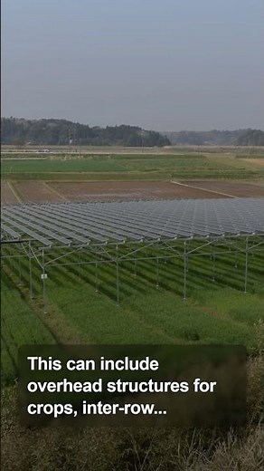 Agrivoltaics: Farming Under Solar Panels!