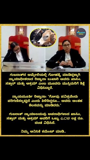 Judge Rizwana Bukhari has sentenced three Muslims, Qasim, Sattar and Akram, for cow slaughter in Ameli, Gujarat. Justice Rizwana: "Despite knowing that the cow is considered sacred... they did such a thing." The Gujarat court has imposed a total fine of Rs 6.08 lakh on the convicts Qasim, Sattar and Akram. | Sanatan story