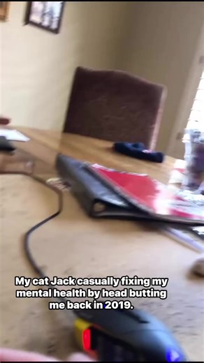 How My Cat Helped My Mental Health