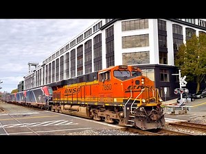 BNSF, Sounder, and Amtrak Trains in Seattle, WA (October 2024)
