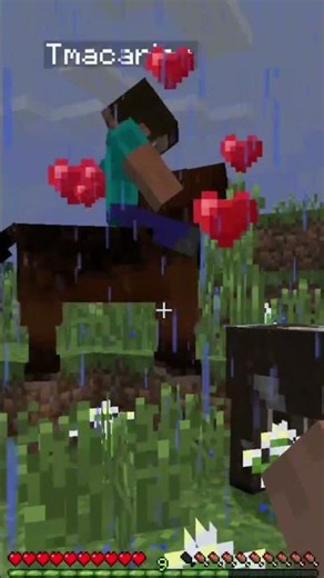 How To Tame a Horse in Minecraft