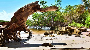 After 28 years, Boca Raton will soon welcome the city's newest waterfront park: Ocean Strand